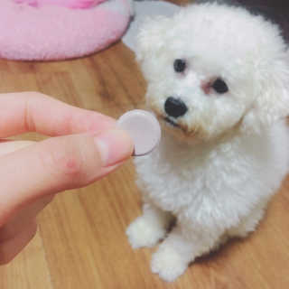 개날나리님이 올린 리뷰 사진 3