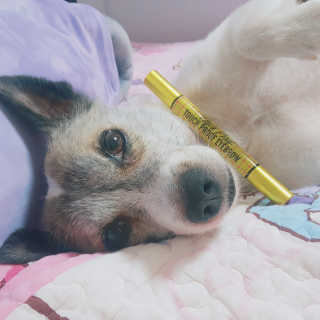 은해짱님이 올린 리뷰 사진 2