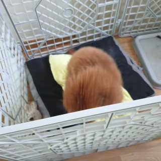 은구슬님이 올린 리뷰 사진 3