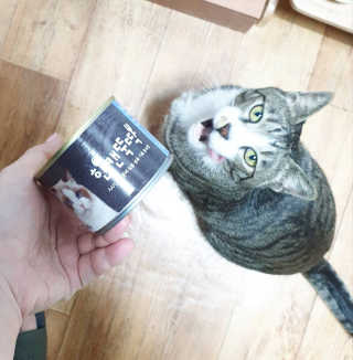 슈슈샤샤님이 올린 리뷰 사진 2