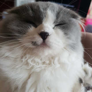 예진님이 올린 리뷰 사진 3