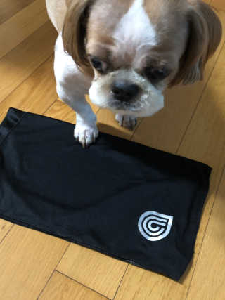 조아조아님이 올린 리뷰 사진 1