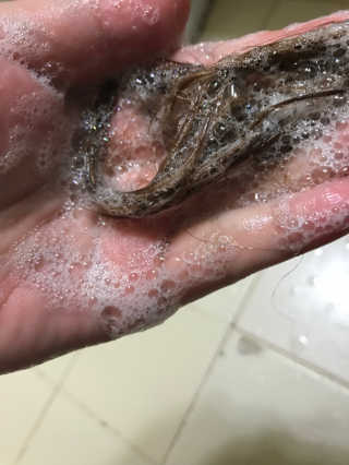 다운님이 올린 리뷰 사진 3