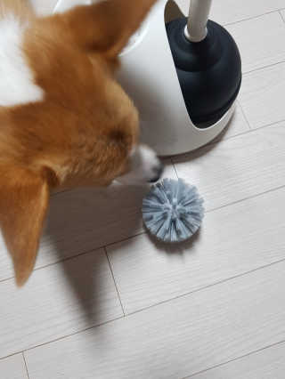 호잇님이 올린 리뷰 사진 2