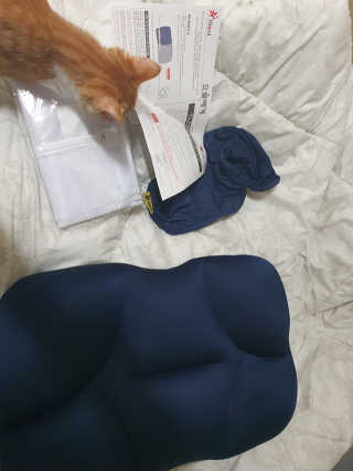 까사앤지오 요술베개 스페셜 에디션 — 1.5점을 준 리뷰어가 2020년 2월 올린 사용 사진