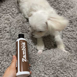 수아님이 올린 리뷰 사진 2