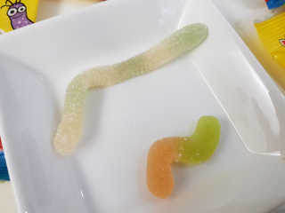 jpaper님이 올린 리뷰 사진 2