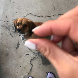 리기님이 올린 리뷰 사진 2