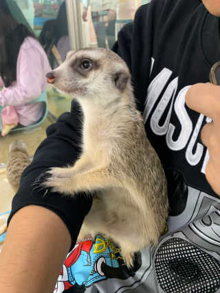 니니님이 올린 리뷰 사진 4