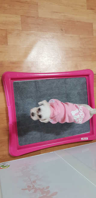 곽현정님이 올린 리뷰 사진 2