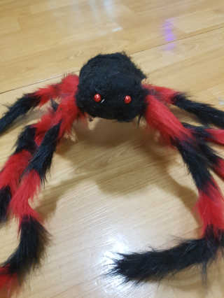 반반남매마밍님이 올린 리뷰 사진 1