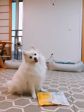 베츠 고메스톡 2종 강아지츄르 사료, 물 전용토핑육수 — 5점을 준 리뷰어가 2019년 7월 올린 사용 사진