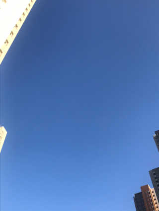프리미어룩 실크 리프팅 아이 앤 넥 크림 — 5점을 준 리뷰어가 2019년 11월 올린 사용 사진