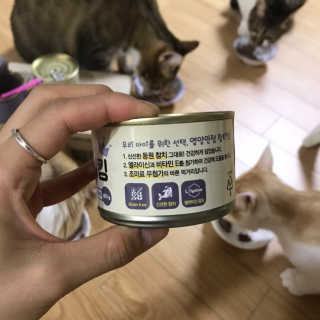 지꾸님이 올린 리뷰 사진 3