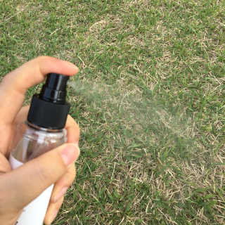 더블유드레스룸 드레스퍼퓸 150ml — 4.83점을 준 리뷰어가 2018년 5월 올린 사용 사진