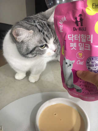 닥터할리펫밀크 8종 — 5점을 준 리뷰어가 2020년 2월 올린 사용 사진