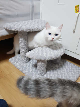 백현지님이 올린 리뷰 사진 1