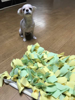 423해피니스님이 올린 리뷰 사진 1