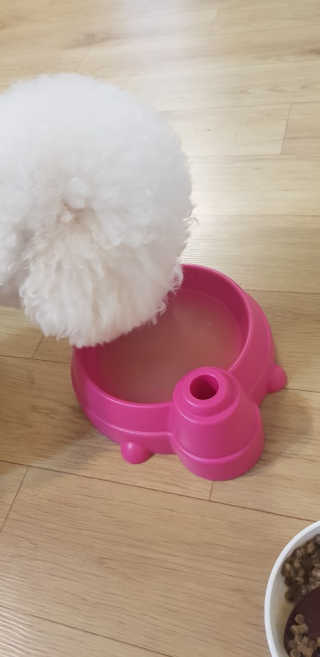 두둥님이 올린 리뷰 사진 1