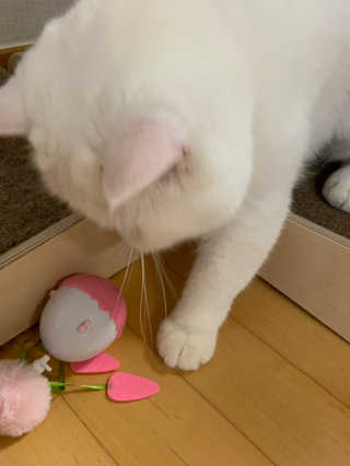 서연님이 올린 리뷰 사진 1