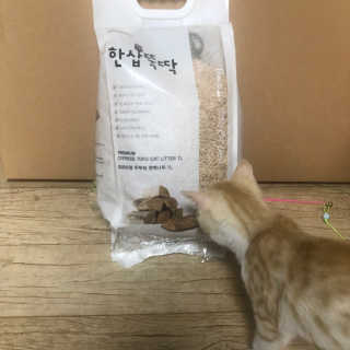도담공주님이 올린 리뷰 사진 1