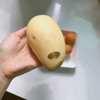 루시루시루시님이 올린 리뷰 사진 1