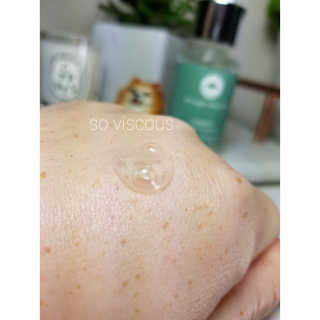 Peepingpomeranian님이 올린 리뷰 사진 3