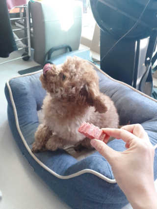 kay님이 올린 리뷰 사진 3