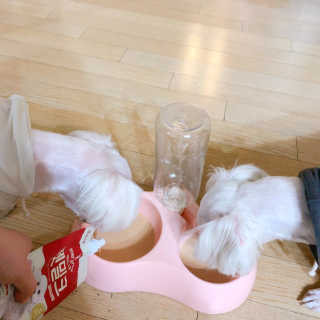 챔미님이 올린 리뷰 사진 4
