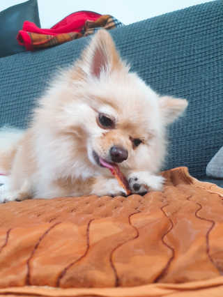 포비탄님이 올린 리뷰 사진 3