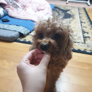 유나님이 올린 리뷰 사진 1