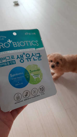 [빙그레] 에버그로 생유산균 1봉（10포입）+펫밀크2팩 — 5점을 준 리뷰어가 2019년 5월 올린 사용 사진
