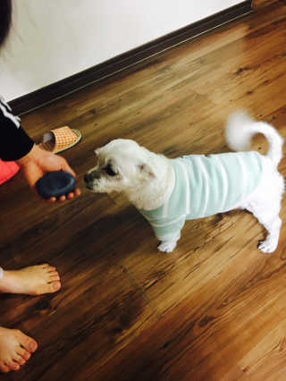 김야옹님이 올린 리뷰 사진 2