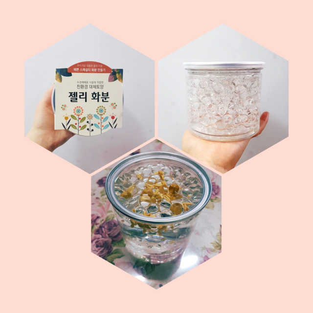 천연가습기 젤리화분 리뷰 사진