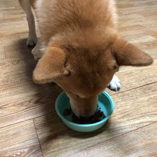 noname님이 올린 리뷰 사진 1
