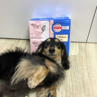 조호이님이 올린 리뷰 사진 3