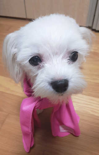 이수진님이 올린 리뷰 사진 1