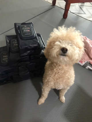 모모맘님이 올린 리뷰 사진 2