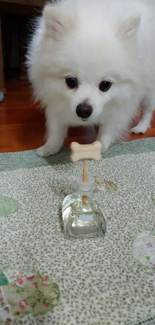 헝헝쓰님이 올린 리뷰 사진 1