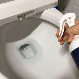 셀로몬 토일렛 스프레이 500ml — 5점을 준 리뷰어가 2018년 5월 올린 사용 사진