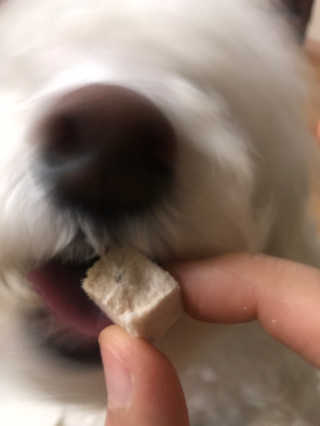 갱스님이 올린 리뷰 사진 3