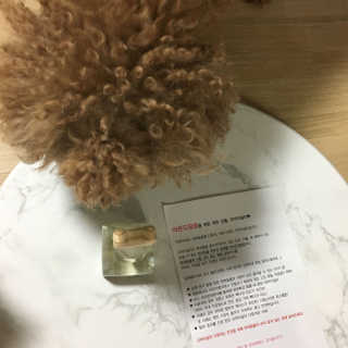 오!마이실리 오마이실리 반려동물 디퓨저 — 4.5점을 준 리뷰어가 2017년 6월 올린 사용 사진