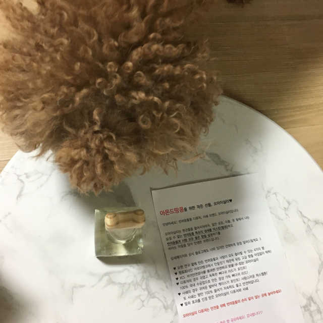 오마이실리 반려동물 디퓨저 리뷰 사진