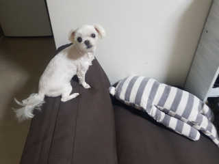 이다솜님이 올린 리뷰 사진 3