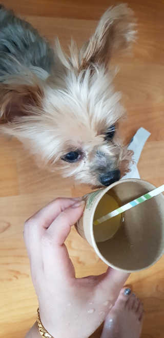 Jy님이 올린 리뷰 사진 2