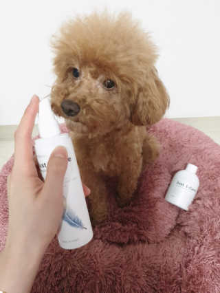 올리브님이 올린 리뷰 사진 2