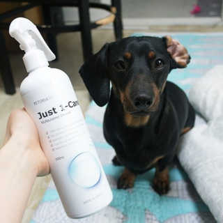[펫토리아] 뚝딱케어 강아지 고양이 다목적세정제 — 5점을 준 리뷰어가 2020년 2월 올린 사용 사진