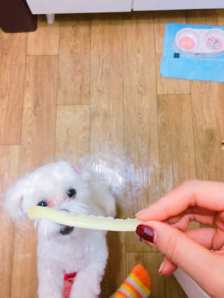 아룽님이 올린 리뷰 사진 3
