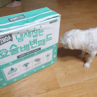 페츠모아 냄새잡는 요술배변패드 — 4점을 준 리뷰어가 2020년 3월 올린 사용 사진