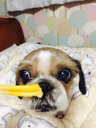 김주희님이 올린 리뷰 사진 1